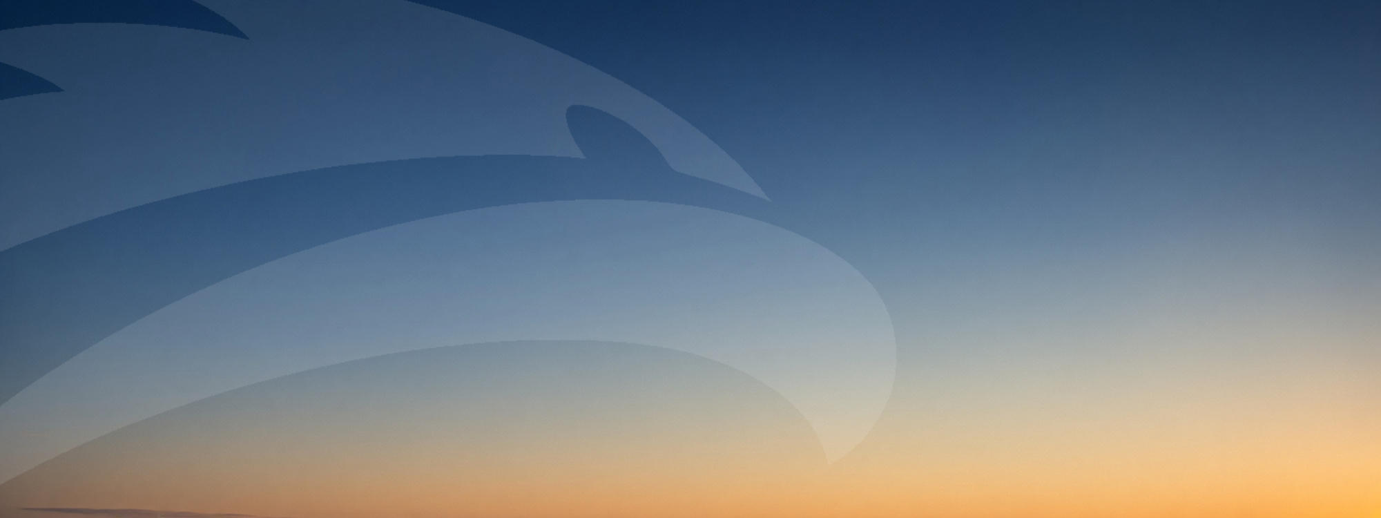 Stylized hawk silhouette over a blue-to-orange sky